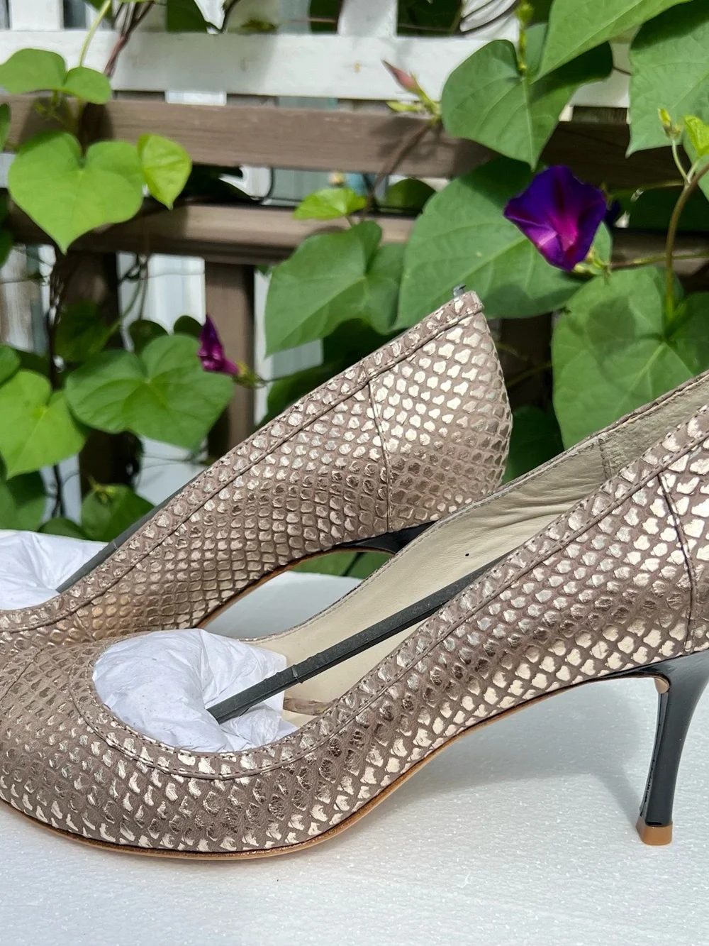 Zofie Bronze Snakeskin Peep Toe Pumps Size 12 New w/ Dust Bag, Brazil Leather